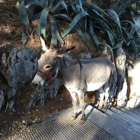 아파트 Sanny 스플리트